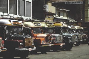 Dark Tones|Moody Green