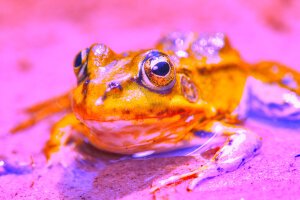 Stef Styles|Interior|Metro Station III Whitish - A poolfrog. Breda / The Netherlands
