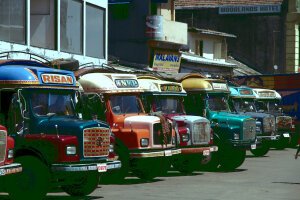 Stef Styles|The Traveller|Snowy Forest BRB-Triad - Some colourful busses. Colombo / Sri Lanka