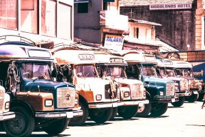 Stef Styles|Vintage|60s desat with WB+