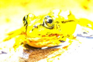Stef Styles|Interior|Metro Station I Add light - A poolfrog. Breda / The Netherlands